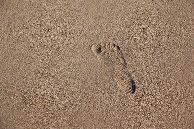 传闻：《Apex英雄》正在开发冰冻手雷Cryo